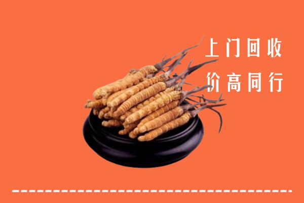 高价求购：济宁曲阜市回收散虫草