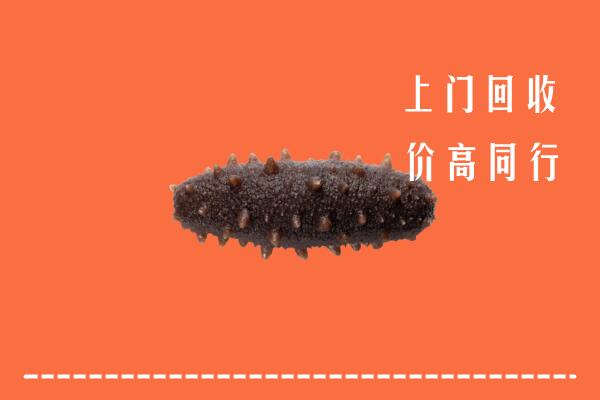 高价求购：济宁曲阜市回收海参