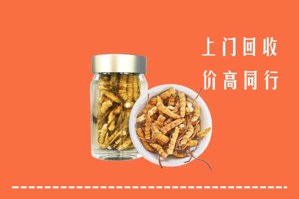 济宁曲阜市回收冬虫夏草